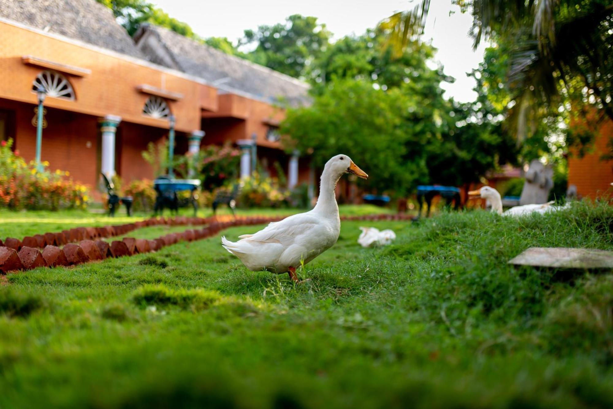 Chettinadu Court- HERITAGE VIEW Kānādukāttān Extérieur photo